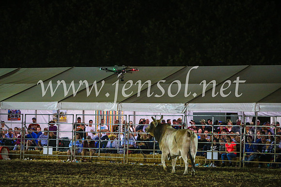 QeanbeyanRodeo2017_4897