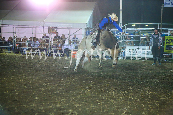QeanbeyanRodeo2017_4834