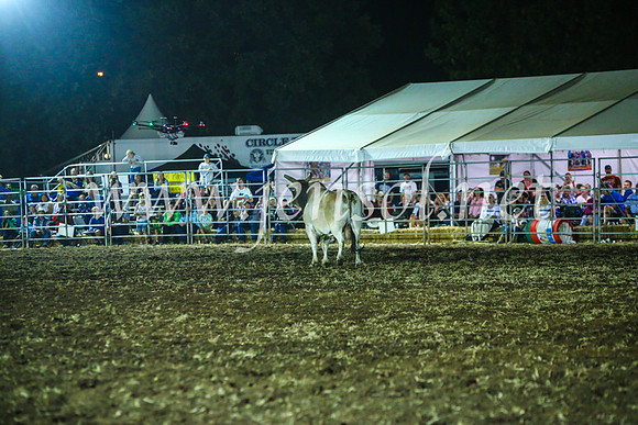 QeanbeyanRodeo2017_4907