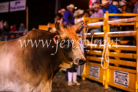 QeanbeyanRodeo2017_4891