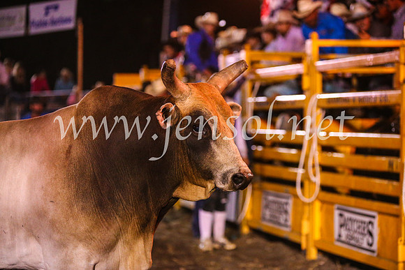 QeanbeyanRodeo2017_4891