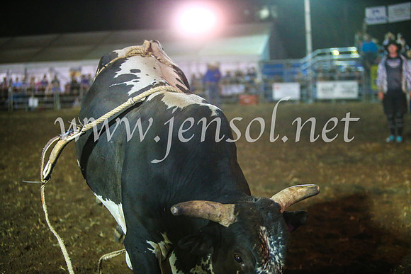 QeanbeyanRodeo2017_5008