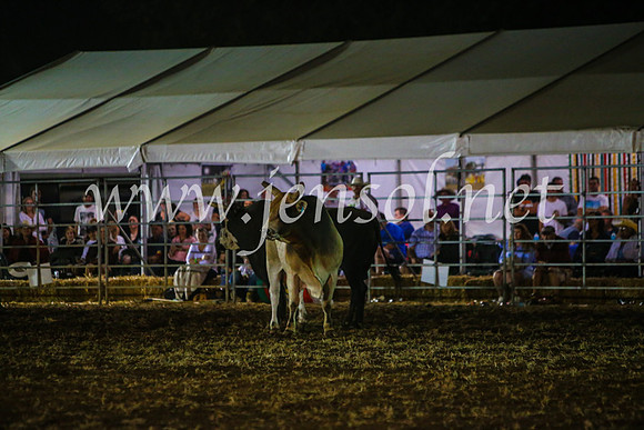 QeanbeyanRodeo2017_4915