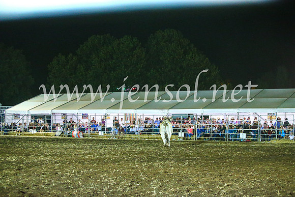 QeanbeyanRodeo2017_4895