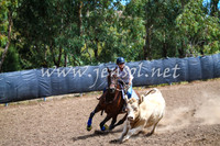 GundagaiCampdraft2017_0209