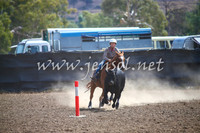 GundagaiCampdraft2017_0278