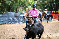 GundagaiCampdraft2017_0254