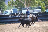 GundagaiCampdraft2017_0202