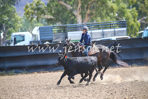 GundagaiCampdraft2017_0202