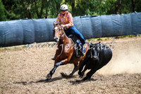 GundagaiCampdraft2017_0228