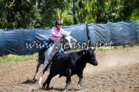 GundagaiCampdraft2017_0238