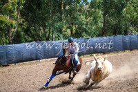 GundagaiCampdraft2017_0212