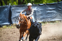 GundagaiCampdraft2017_0267