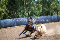 GundagaiCampdraft2017_0211
