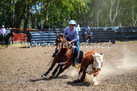 GundagaiCampdraft2017_0246