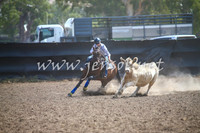 GundagaiCampdraft2017_0224