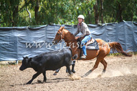 GundagaiCampdraft2017_0266