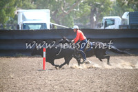GundagaiCampdraft2017_0291