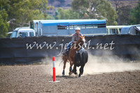 GundagaiCampdraft2017_0279