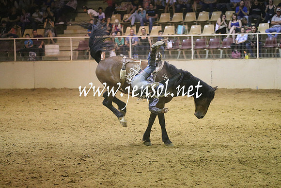 RealDealRodeoNov2013_1843
