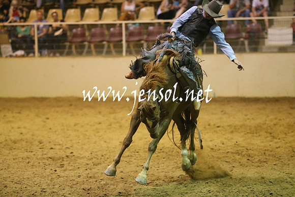 RealDealRodeoNov2013_1687
