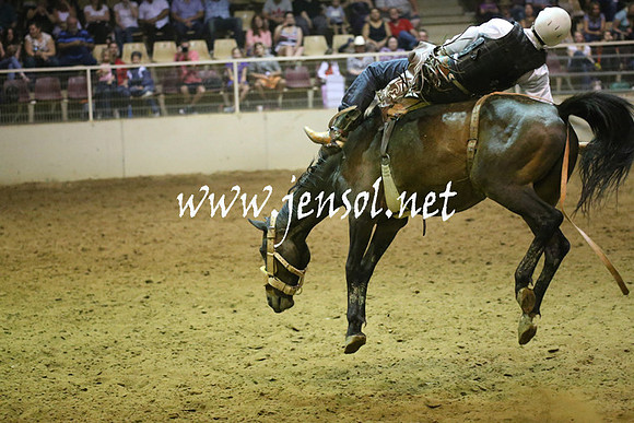 RealDealRodeoNov2013_1869