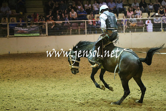 RealDealRodeoNov2013_1873
