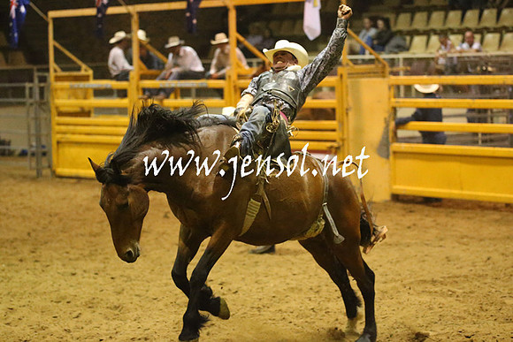 RealDealRodeoNov2013_1801
