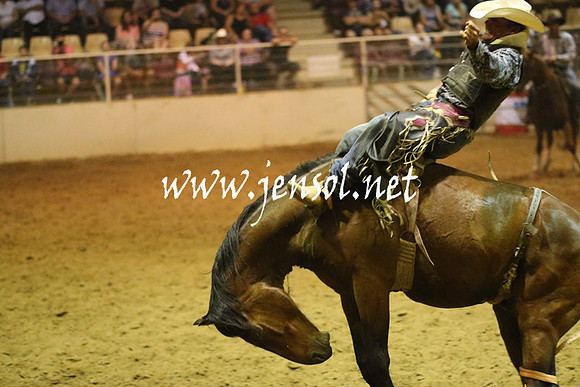 RealDealRodeoNov2013_1805