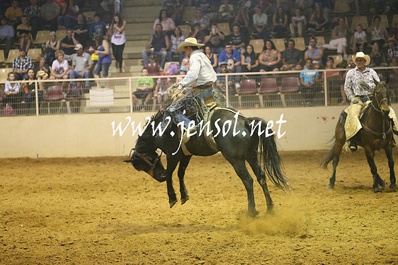RealDealRodeoNov2013_0832