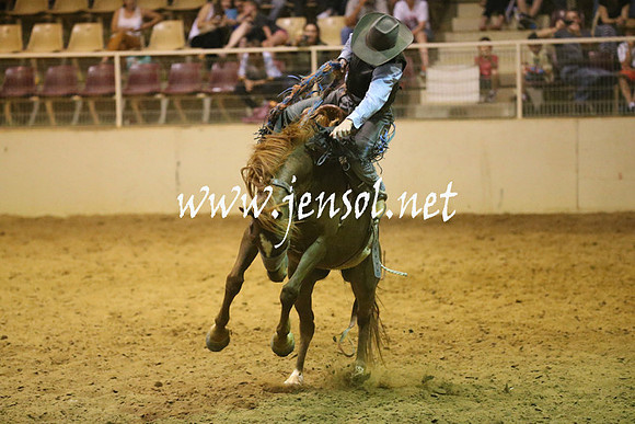 RealDealRodeoNov2013_1685