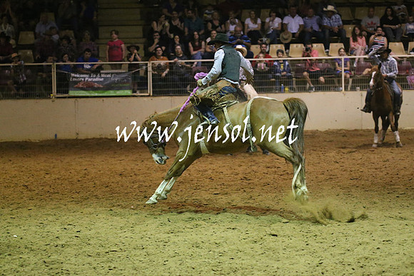 RealDealRodeoNov2013_1556