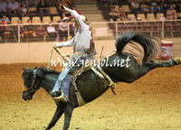 RealDealRodeoNov2013_0822