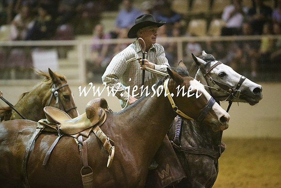 RealDealRodeoNov2013_1747