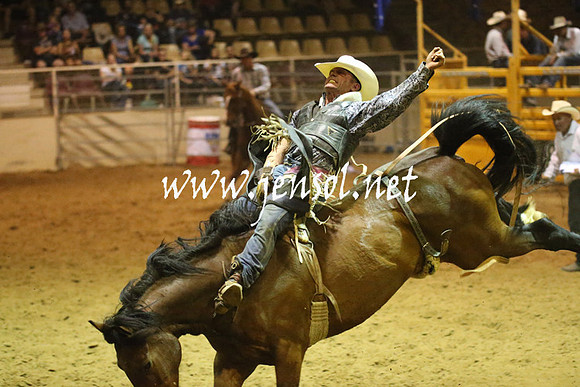 RealDealRodeoNov2013_1803