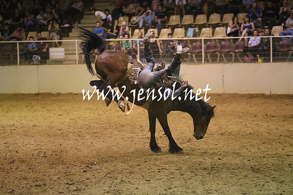 RealDealRodeoNov2013_1842