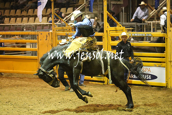 RealDealRodeoNov2013_1581