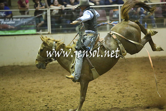 RealDealRodeoNov2013_1676