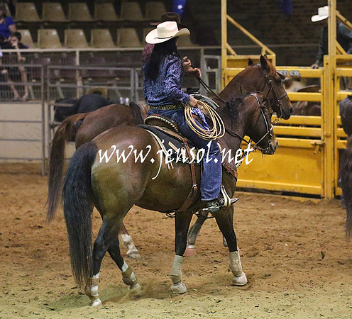 RealDealRodeoNov2013_1551