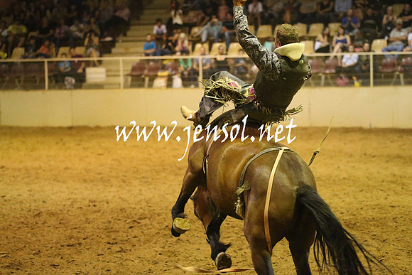 RealDealRodeoNov2013_1821
