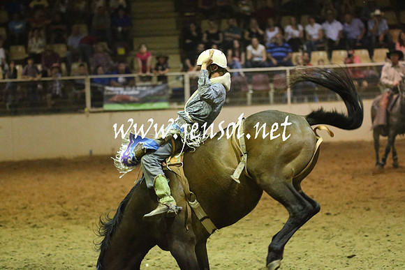 RealDealRodeoNov2013_1765