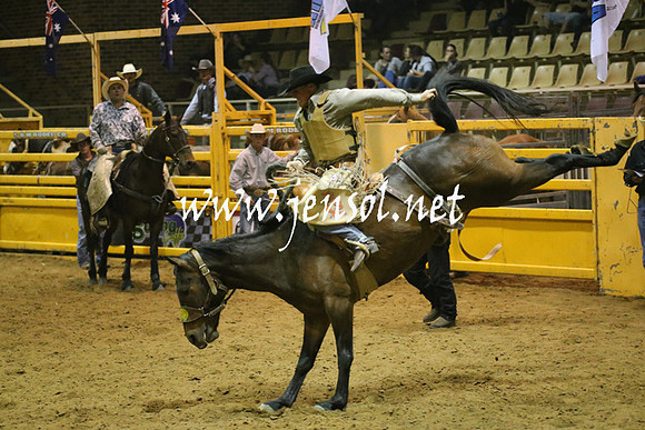 RealDealRodeoNov2013_1565