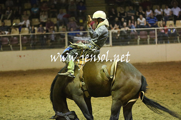 RealDealRodeoNov2013_1766