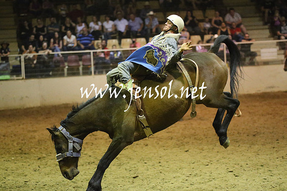 RealDealRodeoNov2013_1762