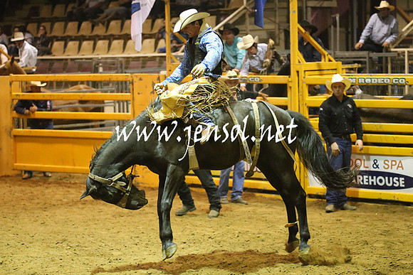 RealDealRodeoNov2013_1582