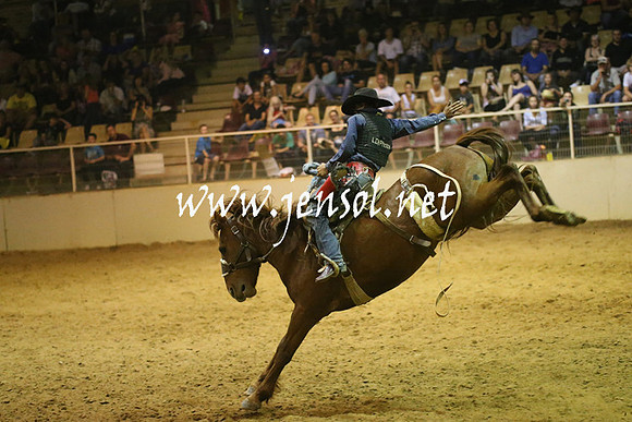 RealDealRodeoNov2013_1643