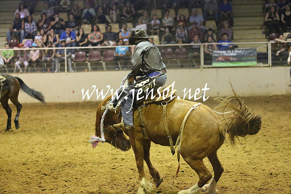 RealDealRodeoNov2013_0806
