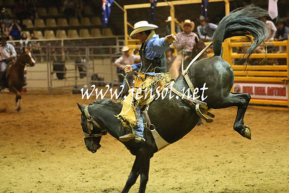 RealDealRodeoNov2013_1590