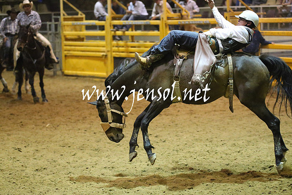 RealDealRodeoNov2013_1861