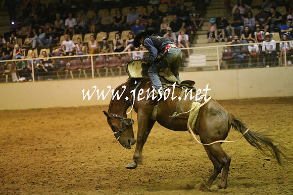RealDealRodeoNov2013_1640